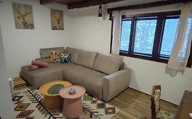 Planinska Kuca Cudesni Bor